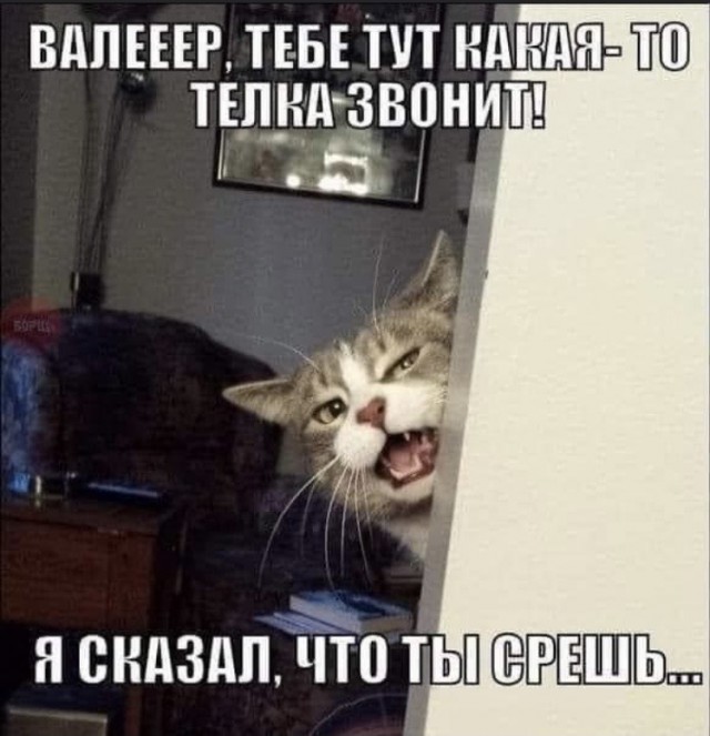 Так себе картинки 05.02.21