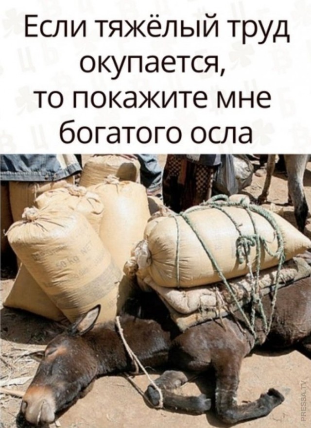Картинки и мемы для настроения