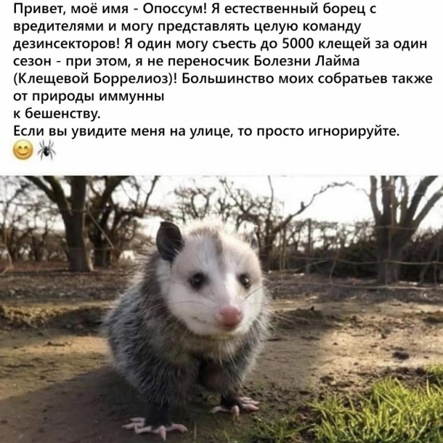 Картинки и мемы для настроения 01.07.2021