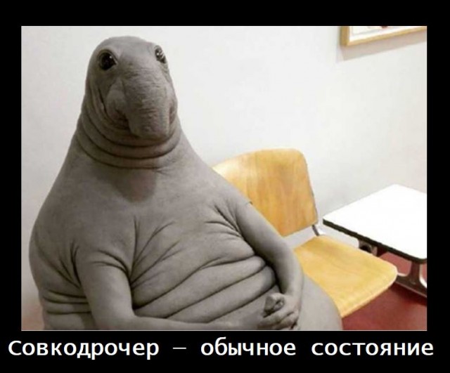 О том, что СССР был ложью и лицемерием
