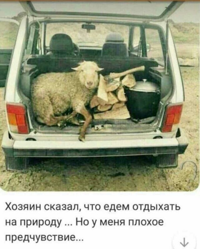 Пятница. Вечер. Картинки всякие... #2