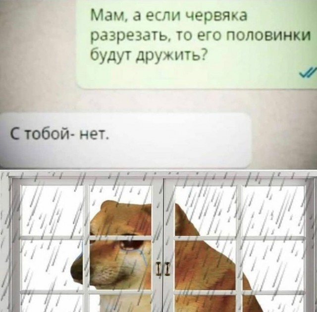 Очередной весёлый полтишок