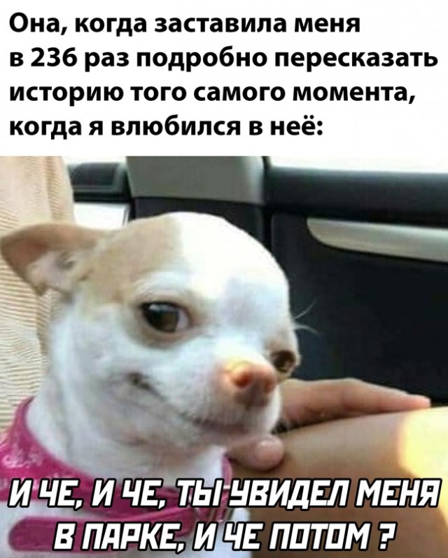 Весёлый полтишок 04.11.22