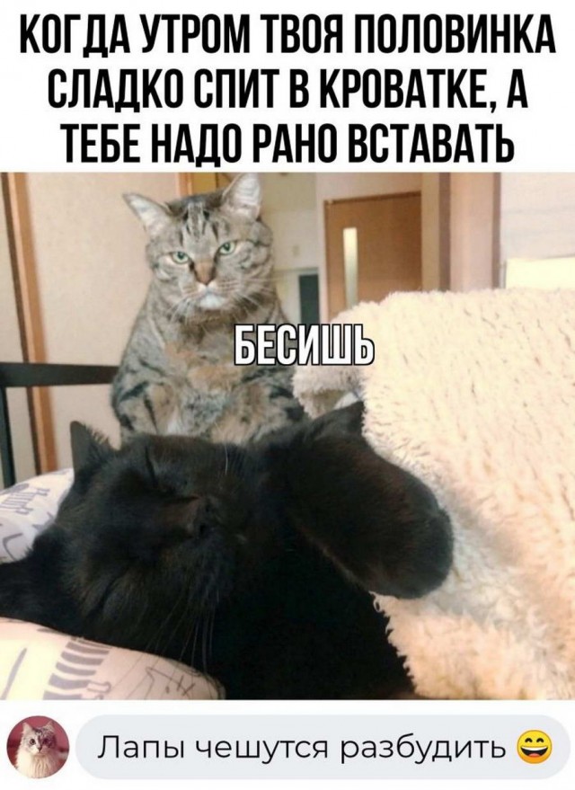 Картинки и мемы для настроения - 131