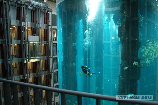 Самые необычные лифты