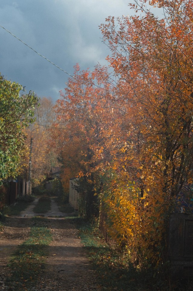 Осень в СНТ