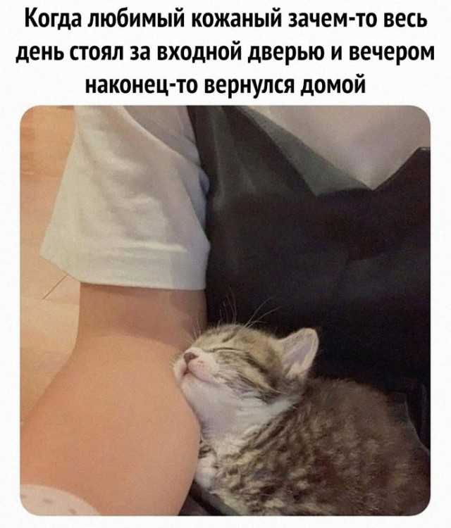 Весёлый полтишок 12.11.23