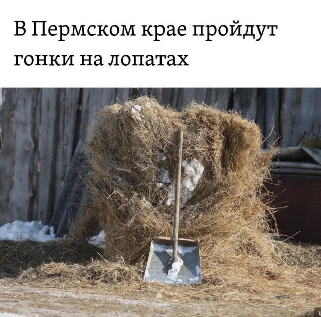 Прикольные и просто красивые картинки 16.02.2024