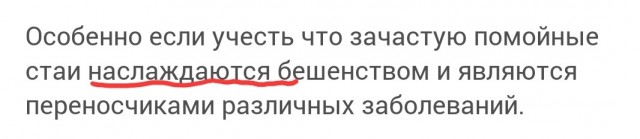 Обезумевшая стая бродячего шавла чуть не съела девочку заживо