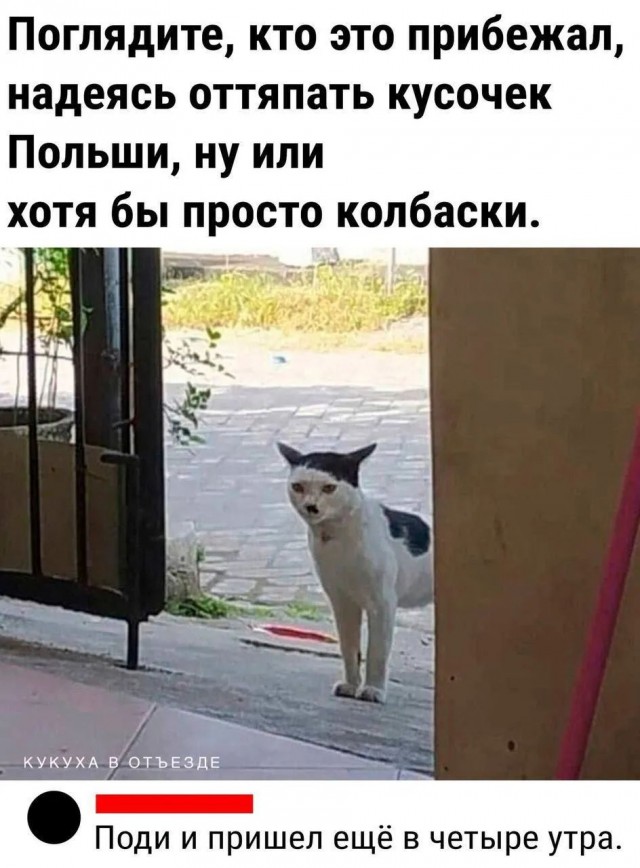 Завалялось тут случайно немного забавных картинок