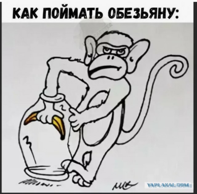 Антонов заявил, что Путин принял решение об ответе на вылазку ВСУ