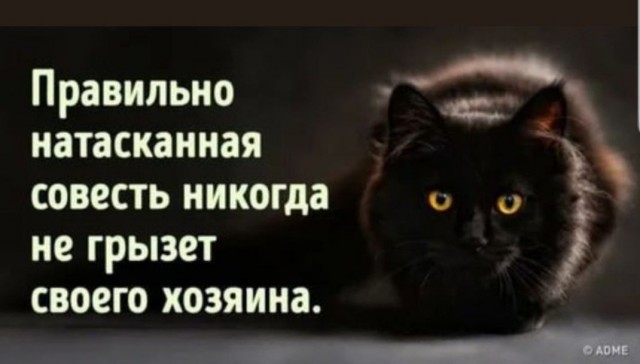 Так себе картинки 26.08.24