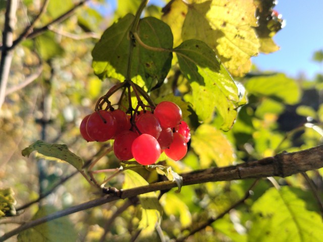 Осень на озёрах 2