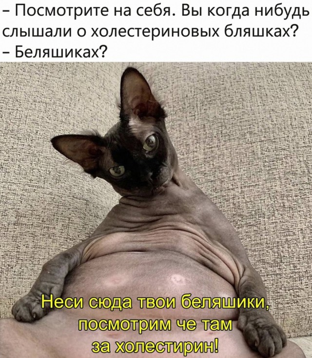 Весёлый полтишок 25.12.24