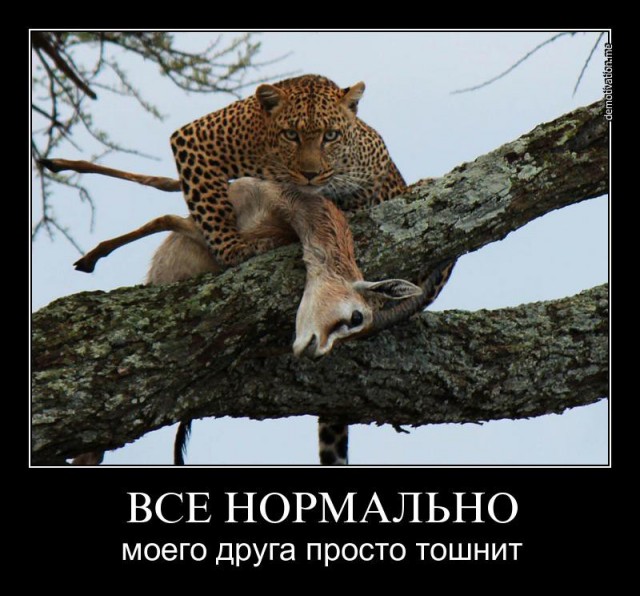 Подъём!