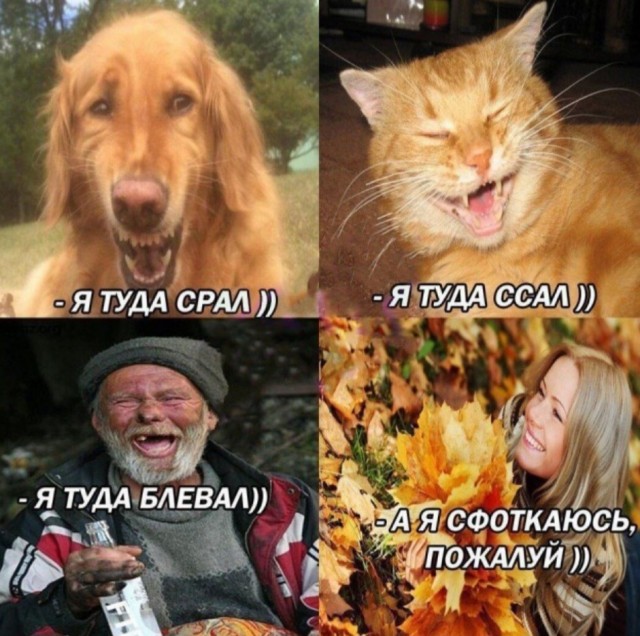 Большая подборка баянов разной степени свежести