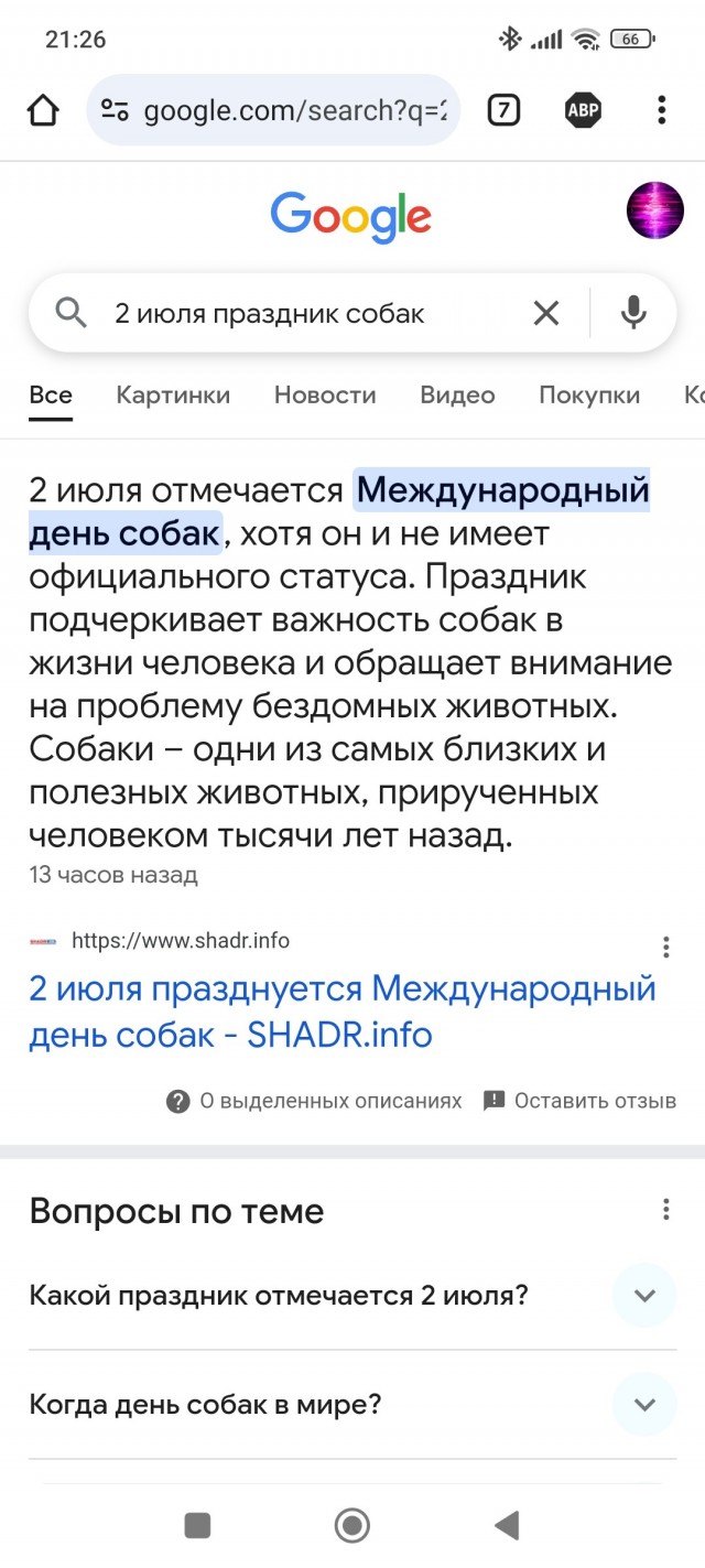 Сегодня отмечается Международный день собак