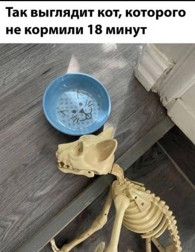 Так себе картинки 04.07.25