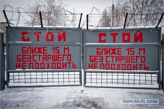 СЕСОТ: как выглядит самая суровая сальвадорская тюрьма, откуда нет возврата