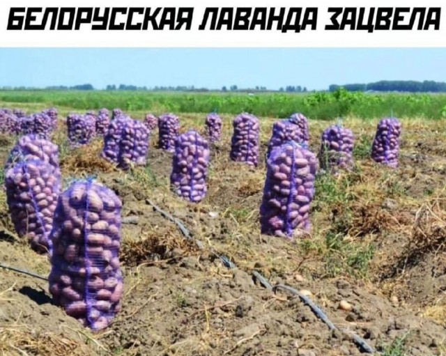 Для пятничного настроения