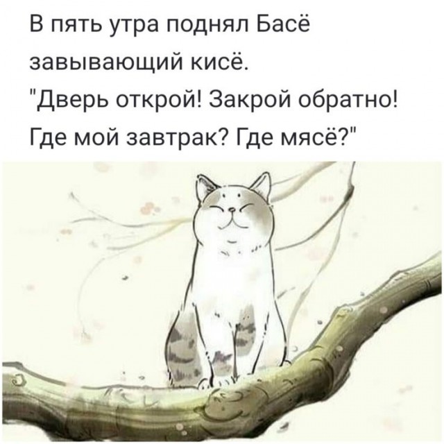 Прикольные и просто красивые картинки 18.11.2025