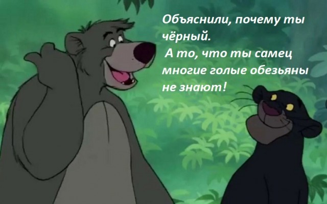 Не знал, не знал...