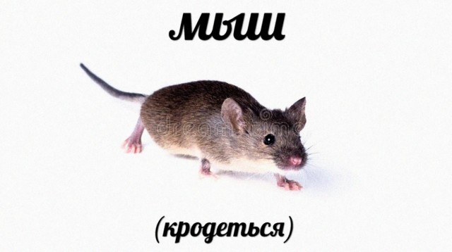 Мыш (складываеться)