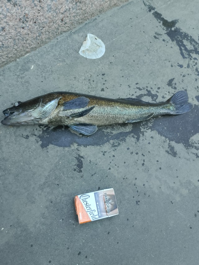 Международный день рыбака
