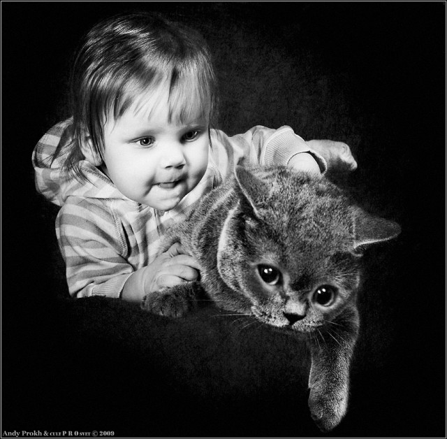 Необычный фотоальбом 4-летней японки