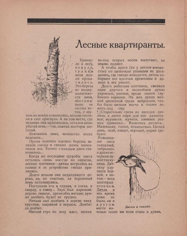 Ветхое живое время...