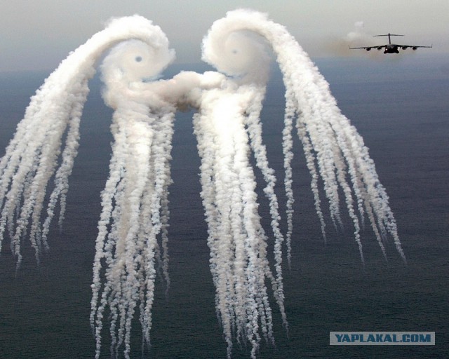 28 самых удачных кадров февраля