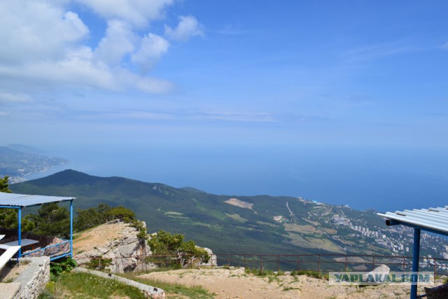 Отдых в Крыму 2014