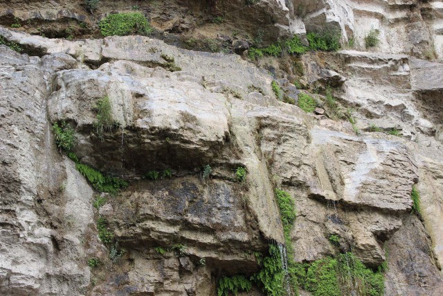 Отчёт о поездке в Крым 12.07 - 29.07