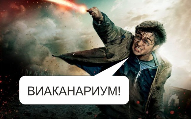 Дочь прислала видео сообщение
