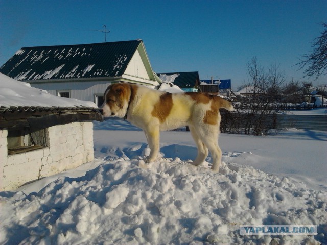 Месяц спустя