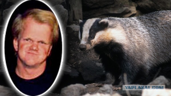 Карлик-гей загрызен барсуками