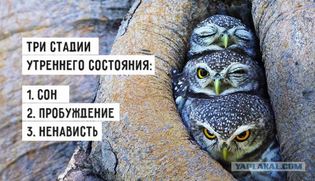 Цитаты из нашей жизни