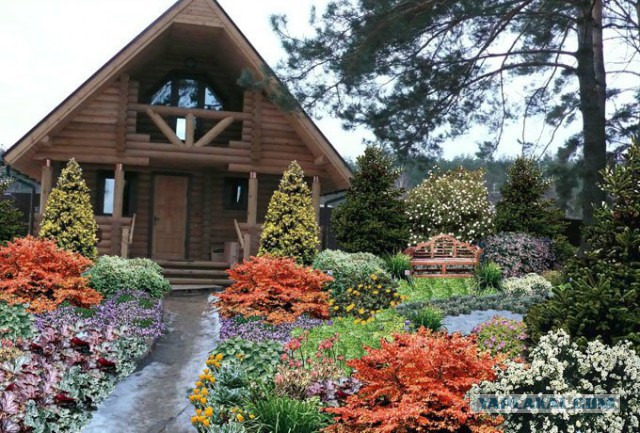 Подборка красивых фото