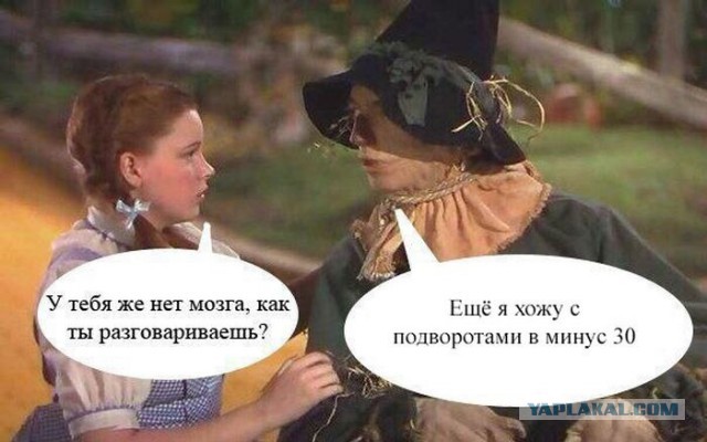 Подборка интересных и веселых картинок
