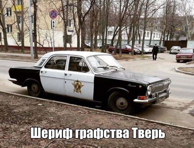 Подборка безудержного веселья
