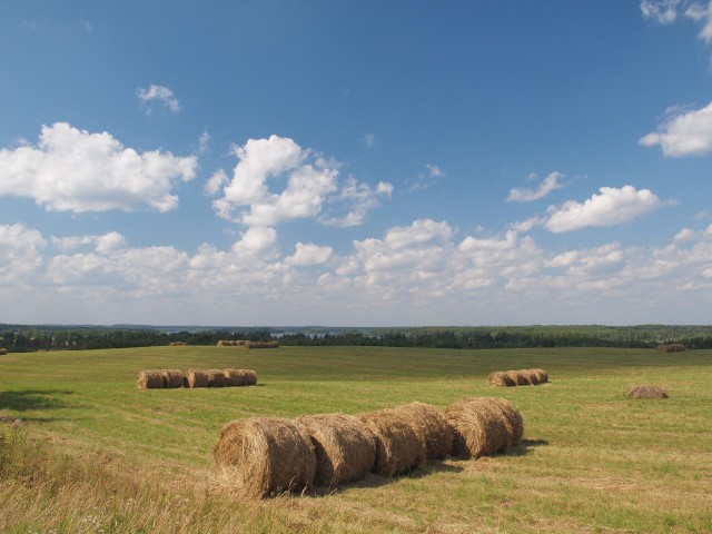 Девкино. Продолжение фотоподборки.