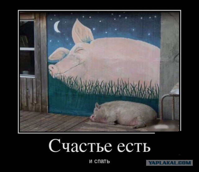 Веселая подборка демотиваторов