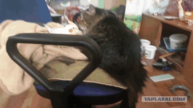 Всяко разно