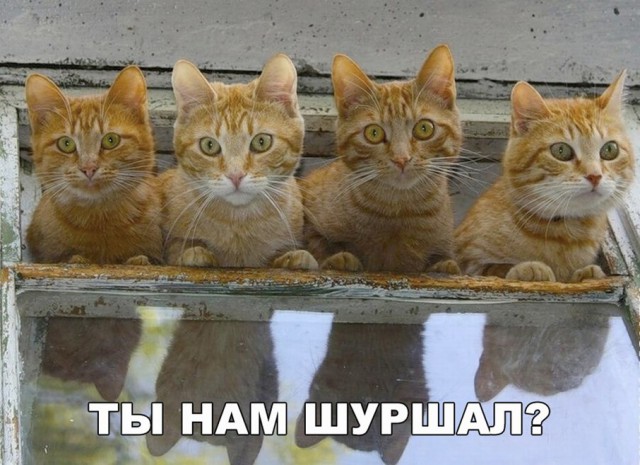 Нестандартный юмор