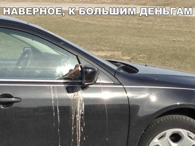 Нестандартный юмор