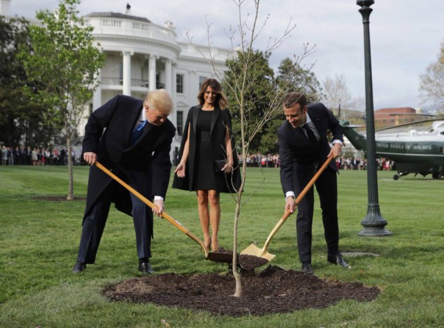"Особенные отношения": Трамп стряхнул перхоть с Макрона