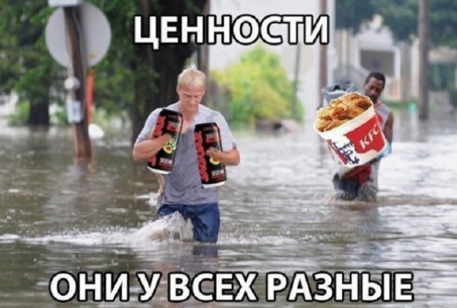 Прикольные картинки