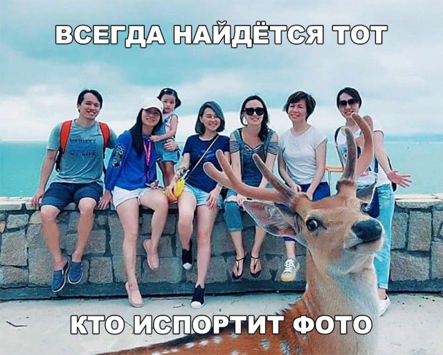 Нестандартный юмор