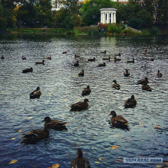 Фото с моего телефона