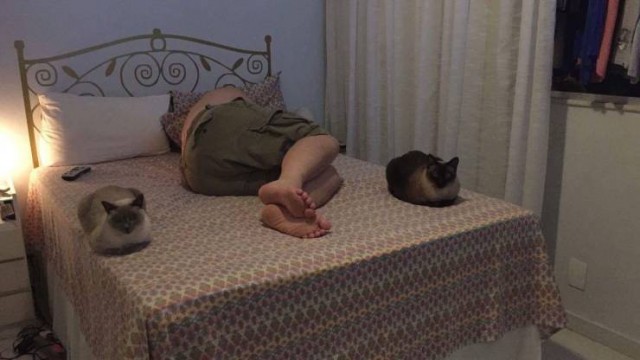 Живность из сети